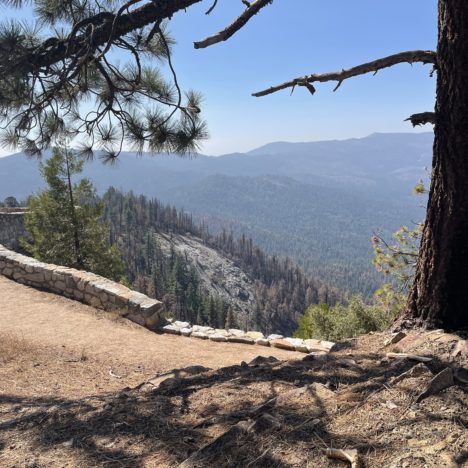 Wiedersehen San Francisco, hallöchen Yosemite